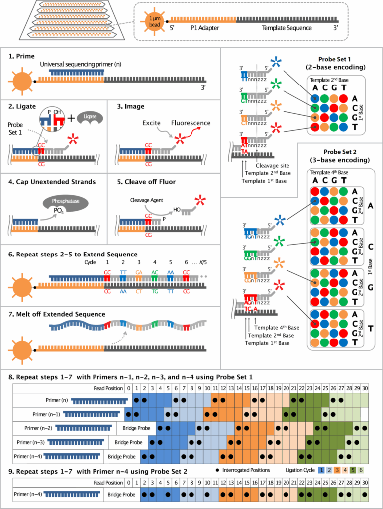 Genetic sequencing, next-generation sequencing, and the challenges and opportunities at hand 17 Wp Molecular Healthcare Ligation Based Sequencing Solid