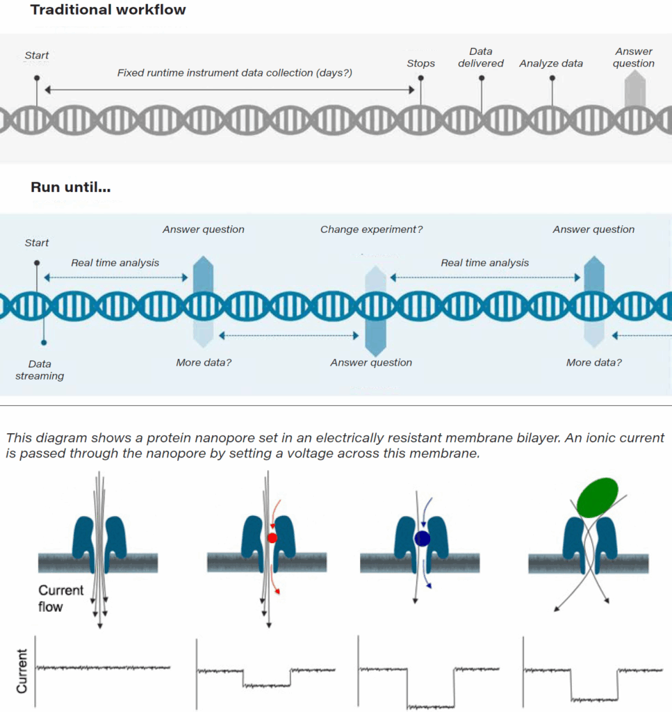 Genetic sequencing, next-generation sequencing, and the challenges and opportunities at hand 21 Wp Molecular Healthcare Nanopore Workflow