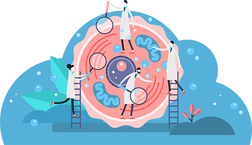 Drug discovery "rocket scientist" team expands Process Tech 2021q1